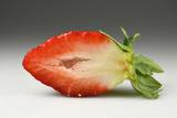 Morango